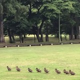 社内ウォーキングラリーイベントが終了しました！